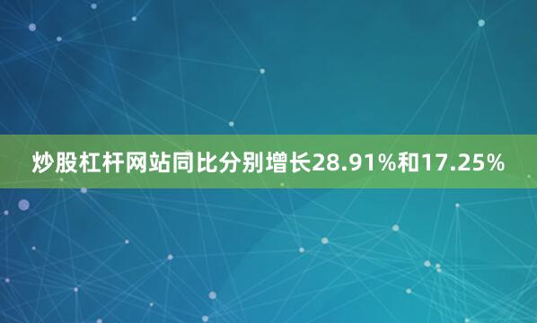 炒股杠杆网站同比分别增长28.91%和17.25%