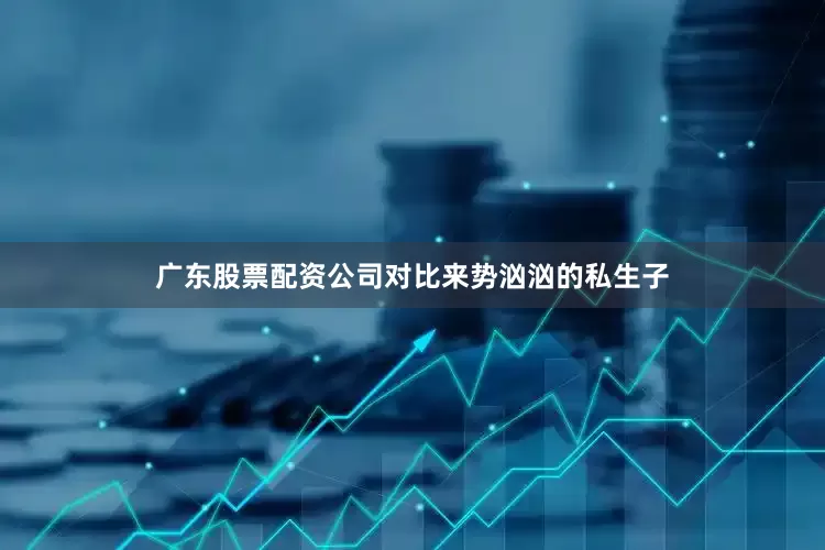 广东股票配资公司对比来势汹汹的私生子